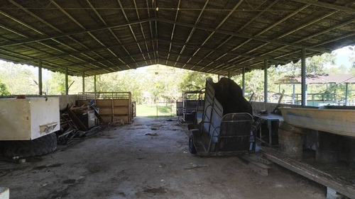 Imagen 4 de 15 de Tibisay Rojas Vende Finca A Pie De Carretera En Aguirre Cerca De Polar.cód.: 165595. Telf. 0414-4173701.