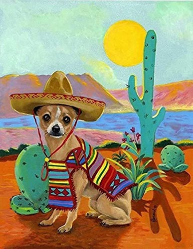 Pintura Por Números Para Adultos Atardecer Cactus Desierto