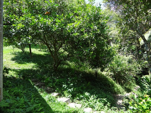 Imagem 14 de 25 de Chácara Com Piscina Lago Pomar Ideal Para Moradia 20.270 M²