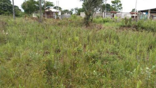 Bom Terreno Lado Praia Em Ótimo Local - Itanhaém 5223 | Npc