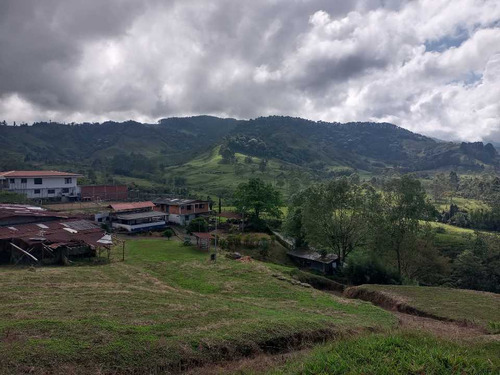 Finca En Venta Vía Termales De San Vicente Santa Rosa De Cabal 6115326 (48866).