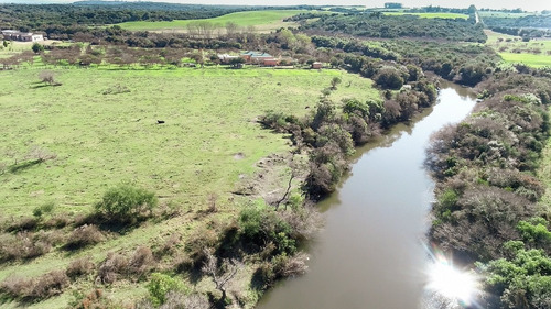 Imagen 11 de 12 de Chacras Venta Nueva Palmira Sobre Arroyo Navegable