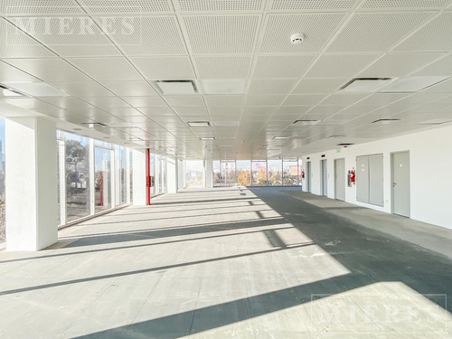 Oficinas De 220 M² En Alquiler - Complejo Lumina 3 - Panamericana Y Gral. Paz