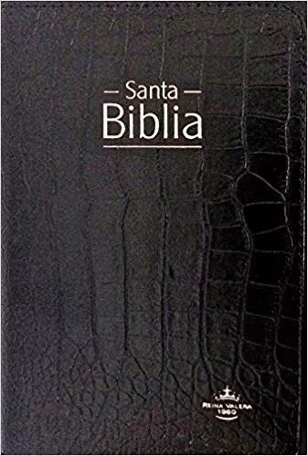 Biblia Mediana L/grande Rvr1960 Piel Fabricada Negro De Lujo