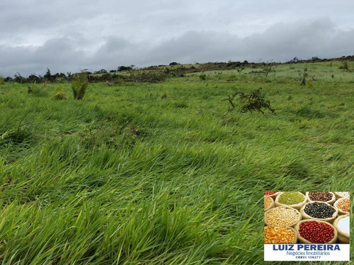 Imagem 4 de 15 de Fazenda À Venda Em Pacaja - Pa - De 1.900 Alqueires (dupla Aptidão) - 1649