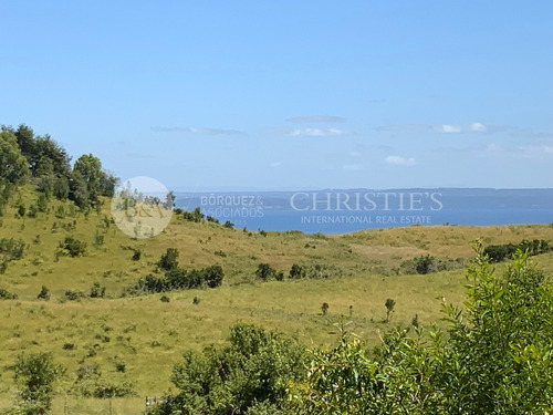 Imagen 3 de 22 de 21873 - Espectacular Vista Al Lago / Venta Sin Comisión