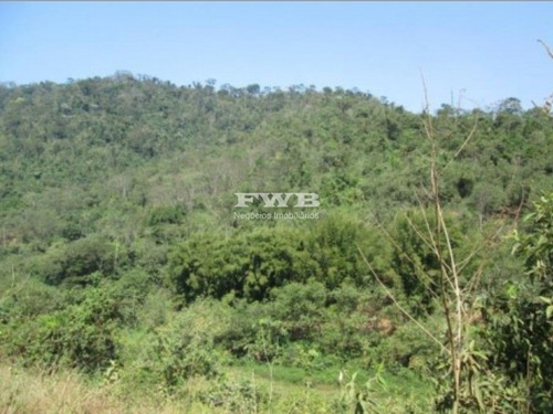 Imagem 6 de 8 de Terreno Em Adrianópolis Nova Iguaçú - 2042006746 - 34212220