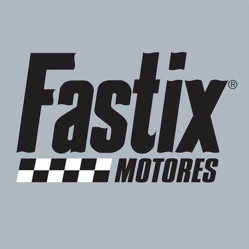 Pegamento SELLADOR FASTIX® Motores Pomo 100g