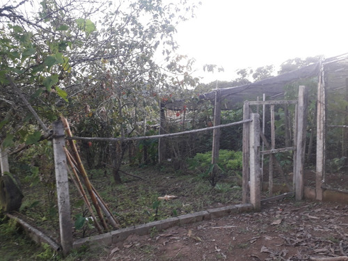 Venda Sítio - Pocinhos Do Rio Verde 72.000m2 (aceita Troca) Com Mina
