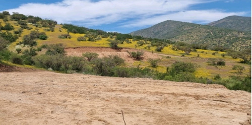 Vende Parcelas De 5.000 Mt2, Con Rol Propio, En Melipilla.