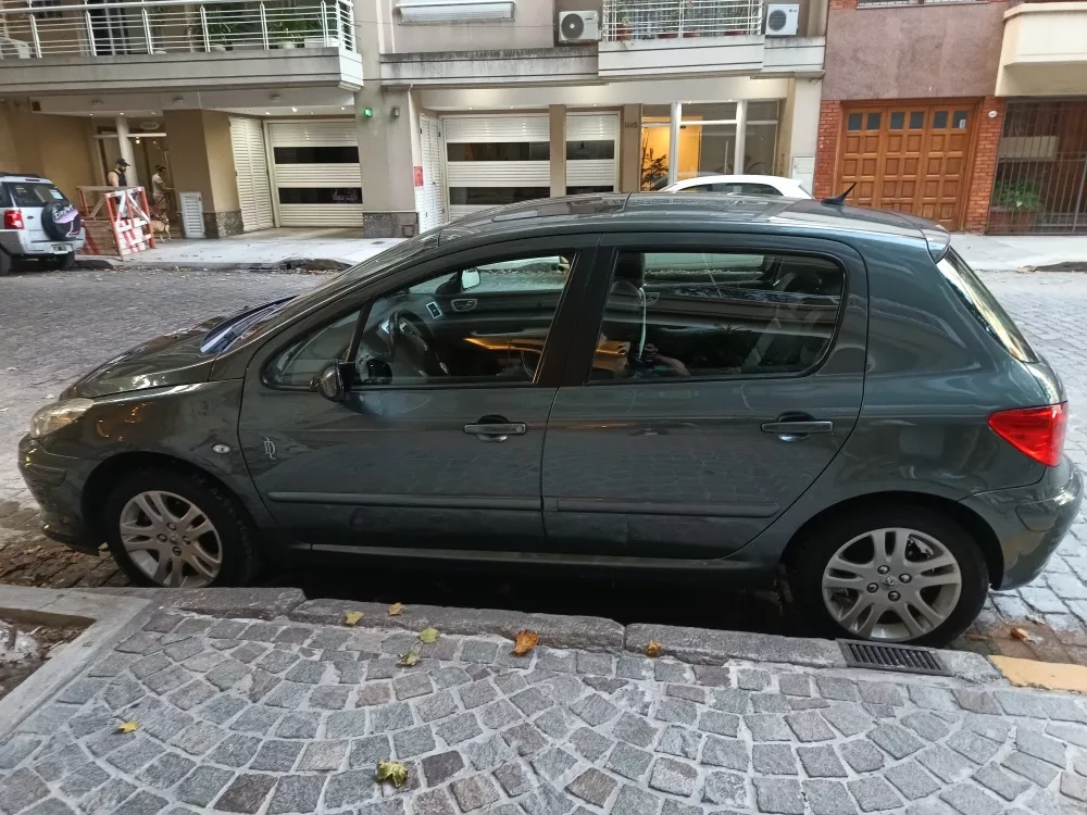 Peugeot 307 2.0 La Dolfina 143cv