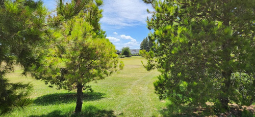 Reserva De Cardales Lote 256 Fondo Golf 1035,66 M²