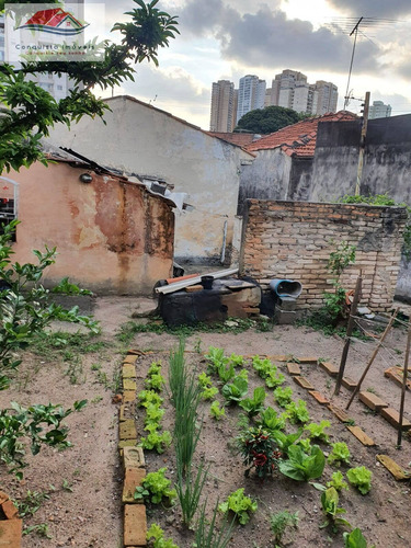 Imagem 14 de 15 de Terreno 293m² Excelente Localização - Vila Augusta - 78