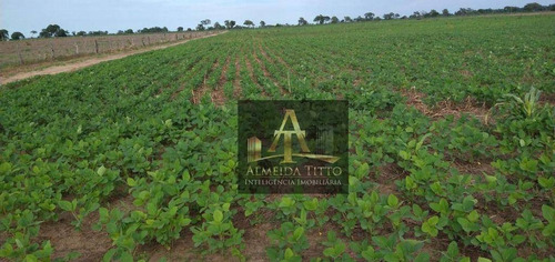 Imagem 16 de 19 de Excelente Fazenda Para Venda Em Barra Do Garças - Mt - Confira!!!! - Fa0050
