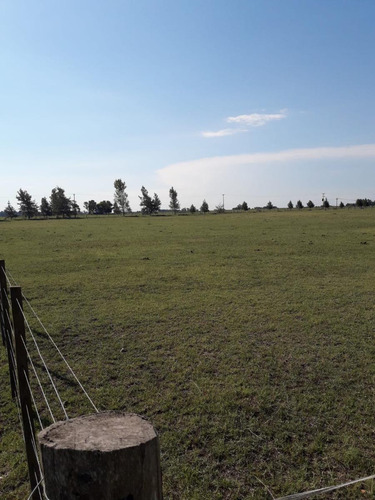 Terreno En Venta - 12000mts2 - Chacras De Abbott, San Miguel Del Monte