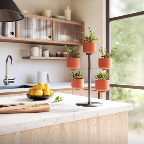 Terrapotta Suporte Vaso De Planta De Mesa C/ 5 - Umbra