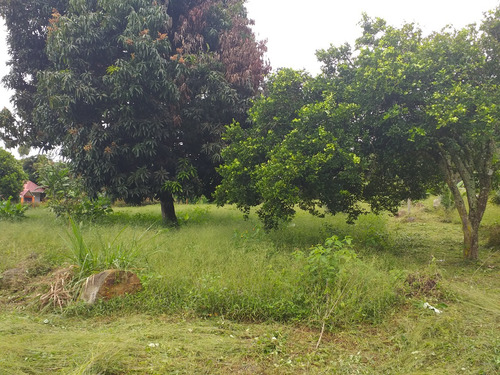 Vendo Lote La Mesa