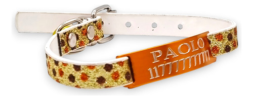 Combo Chapita Pasante + Collar Glamour Cat Dorado Pasacat