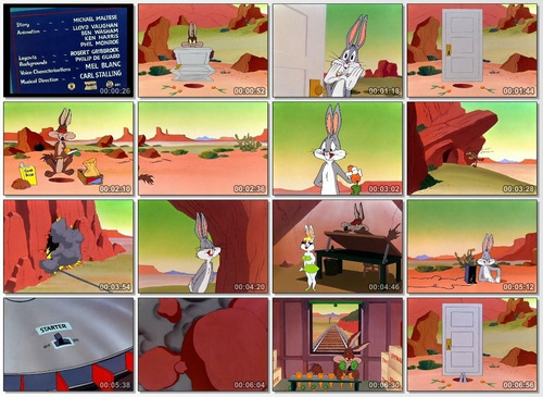Serie Looney Tunes Y Merrie Melodies Coleccion Completa