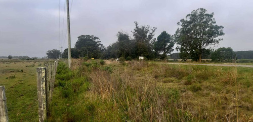 Venta Campo Chacra Rocha Cabo Polonio 20 Hectáreas Ruta 10