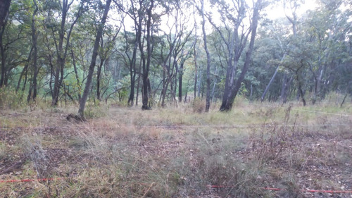 Venta De Lotes