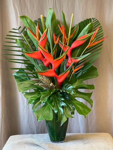 Helicônia Bihai
