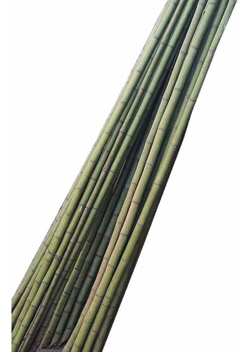Caña Tacuara/bambu Paquete 10 Unidades X 3m De Alto -tigre