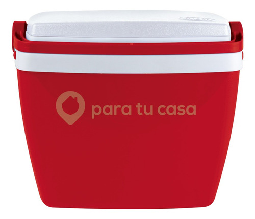 Imagen 4 de 10 de Lunchera Heladerita Conservadora Camping Escolar 6 Lts.