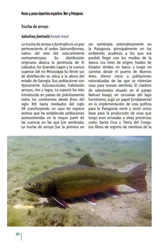 Irigoyen Peces Y Pesca Deportiva Argentina - Mar Y Patagonia