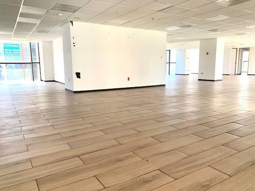 Polanco, Rento 3,800m2 Completamente Acondicionados, Privados, Salas De Juntas, Amplias Áreas Abiertas De Trabajo, 42 Estacionamientos. Excelente Ubicación