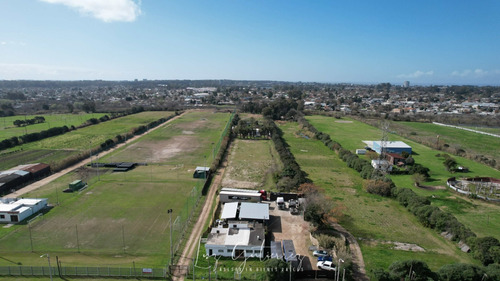 Terreno En Alquiler De 1600m2 Ubicado En Servando Gómez. Carrasco