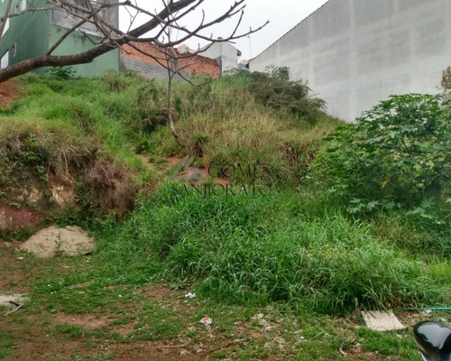 Imagem 5 de 11 de Terreno Com 125m² No Bairro Do Parque São Vicente Em Mauá Sp - Te00099 - 70172103