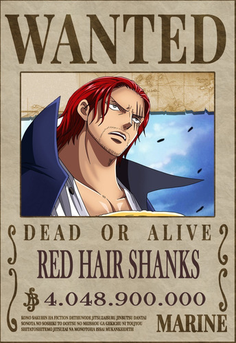 Set De 10 Poster One Piece Wanted 02