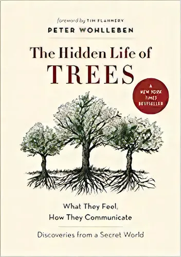 comprar The Hidden Life Of Trees: What They Feel, How Theymunicate, De Peter Wohlleben. Editorial Greystons En Inglés