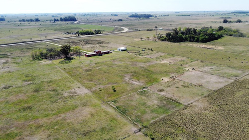 Imagen 9 de 19 de Campo - Coronel Brandsen