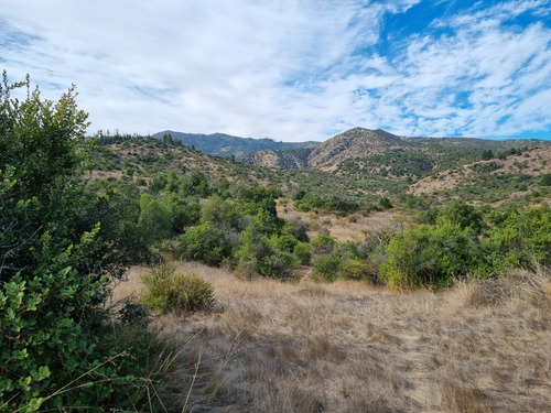Lote 5000 M2 En Ranquilhue, Pumanque Limite Con Marchigue