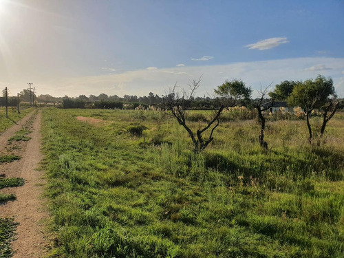 Imagen 3 de 7 de Chacra Próximo Ruta 101 Y Camino El Gallo