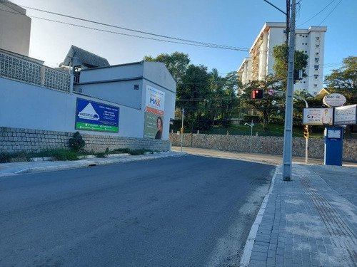 Imagem 12 de 12 de Salas Comerciais Em Blumenau - Garcia - 929