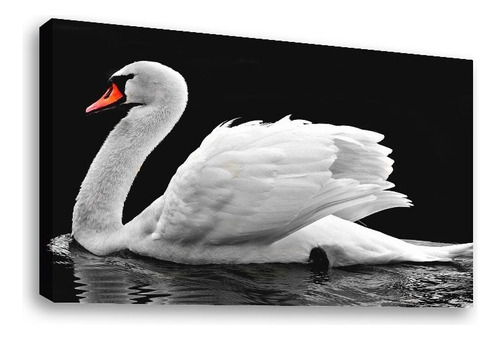 Cuadro Decorativo Canvas Moderno Cisne Color Natural Armazón Natural