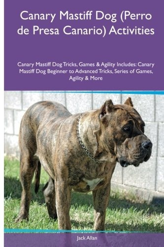 Canary Mastiff Dog (perro De Presa Canario) Activities Canar