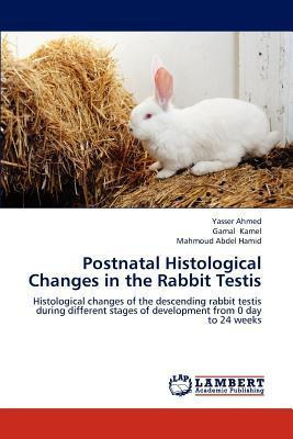 Libro Postnatal Histological Changes In The Rabbit Testis...