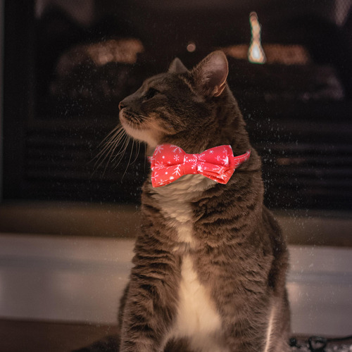 Collar Navideño Para Mascotas Con Cascabeles Y Pajaritas Aju
