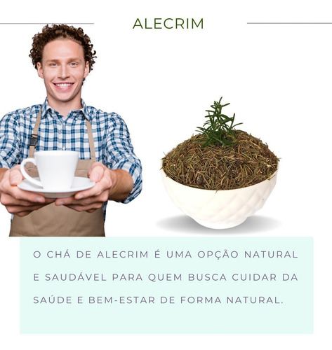 Chá De Alecrim Da Horta | Puro Rosmano-comum | Folhas Seca