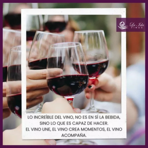 Vino Trumpeter Nicasia + Altos Las Hormigas. Combo X6