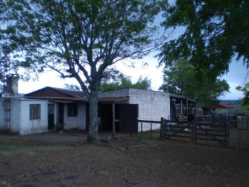 Imagen 9 de 9 de Campo Ganadero 977 Has En Artigas, Costas Del Pintado Grande