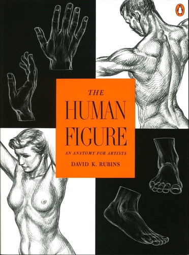 Libro: The Human Figure: An Anatomy For Artists