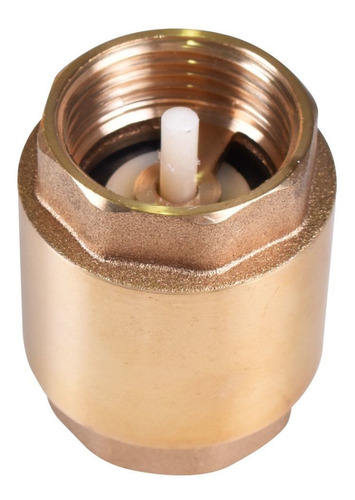 Imagem 2 de 5 de Motobomba Autoaspirante 1cv Aço Inox Jeti-100 Ferrari 127v