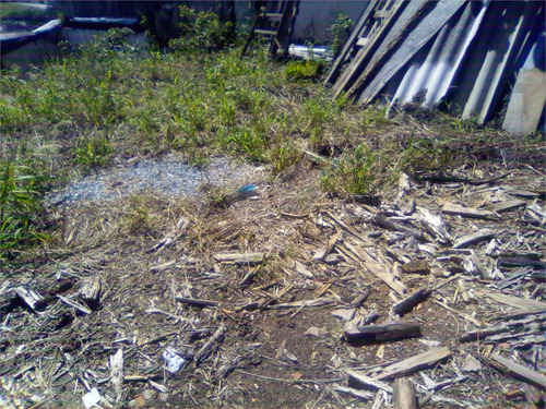 Imagem 4 de 19 de Terreno Jardim Abril Osasco - Reo455223