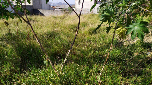 Terreno A Venda No Jardim Vista Alegrebragança Paulista-sp - 15667