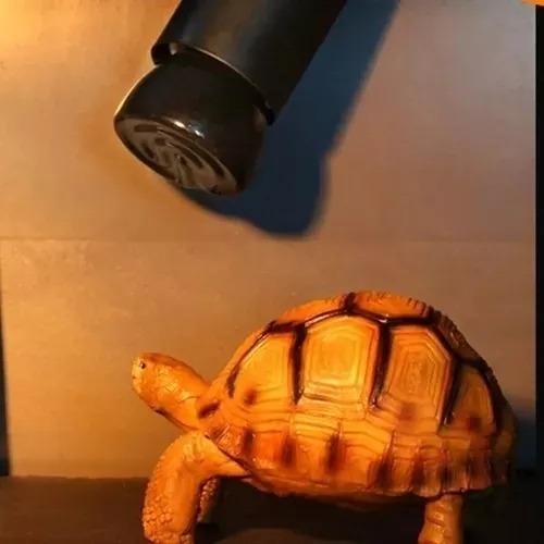 Lámpara Infrarroja Emisora De Calor Para Reptiles,mascotas